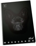 Pigna Moncromo Black Dog A5 sima notesz