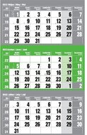 Realsystem 2022-es 6061-80 12lapos zöld speditőr naptár