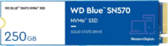 WESTERN DIGITAL - BLUE SERIES SN570 250GB - WDS250G3B0C