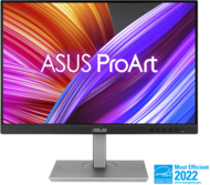 ASUS - ProArt Display PA248CNV