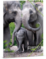 Ars Una Serenity-Elephant 24 (5333) A4 gumis mappa