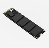 HIKSEMI - CITY E1000 256GB - HS-SSD-E1000(STD)/256G/CITY/WW