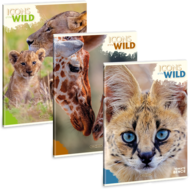 Ars Una Icons of the Wild 25 (5492) A4 extra kapcsos kockás füzet