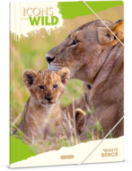 Ars Una Icons of the Wild-Lions 25 (5504) A4 gumis mappa