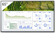 Sony - BZ30L 65" Professzionális kijelző - FW-65BZ30L (TÚLMÉRETES ÁRÚ)