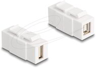 Delock - Keystone modul A-típusú USB 2.0 anya B-típusú USB 2.0 anya, mindkét oldalával beépíthető, fehér színű - 87951