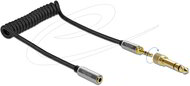 Delock - Összecsavart kábelbővítmény 3,5 mm 3 tűs Sztereo Jack apa - Sztereo Jack anya 6,35 mm csavar adapterrel 1 m - 85831