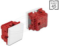 Delock - Easy 45 egyes kapcsoló kétpóluső egyirányú 45 x 45 mm, fehér - 81360