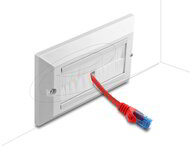 Delock - Kábelrendező keret fehér fésűsávokkal 146 x 86 mm - 66496