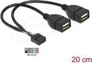 Delock - USB Cable Pin header female > 2 x USB 2.0 type-A female 20 cm - 83292