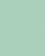 Dekorkarton, 2 oldalas, A4, 220 g, 100 lap, FOLIA, menta, (100 lap)
