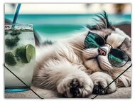 Gumis mappa, 15 mm, PP, A4, PANTA PLAST "Chillout cat"