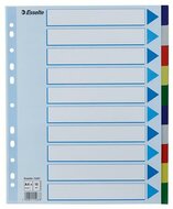 Regiszter, műanyag, A4 Maxi, 10 részes, ESSELTE