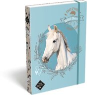Füzetbox, A4, LIZZYSULI, "Wild Beauty, Sport Club"