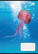 Füzet, tűzött, A5, kockás, 32 lap, COOL BY VICTORIA "Ocean World", "27-32"