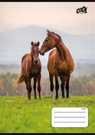 Füzet, tűzött, A5, vonalas, 32 lap, 1. osztály, COOL BY VICTORIA "Free Spirit", "14-32"