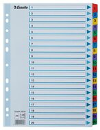 Regiszter, karton, A4, 1-20, ESSELTE "Mylar"