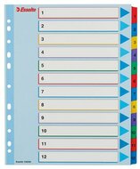 Regiszter, laminált karton, A4 Maxi, 1-12, újraírható, ESSELTE