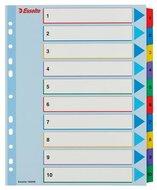 Regiszter, laminált karton, A4 Maxi, 1-10, újraírható, ESSELTE