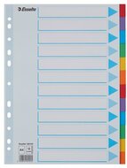 Regiszter, karton, A4, 12 részes, írható előlappal, ESSELTE "Standard", színes