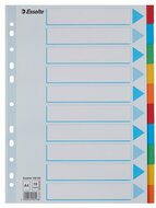 Regiszter, karton, A4, 10 részes, írható előlappal, ESSELTE "Standard", színes