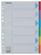 Regiszter, karton, A4, 6 részes, írható előlappal, ESSELTE "Standard", színes