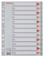 Regiszter, műanyag, A4, 1-12, ESSELTE, szürke