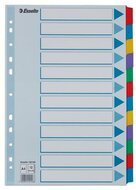 Regiszter, laminált karton, A4, 12 részes, ESSELTE "Mylar"