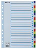 Regiszter, műanyag, A4, 20 részes, ESSELTE