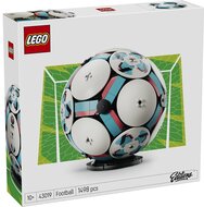 LEGO® Editions Focilabda 43019