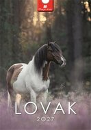 Naptár, fali, DAYLINER, "Lovak"