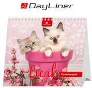 Naptár, asztali, álló, DAYLINER "Cicák"