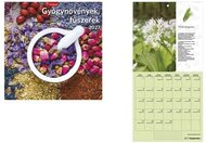 Naptár, fali, TOPTIMER, "Gyógynövények, fűszerek"