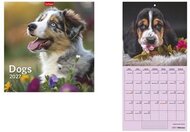 Naptár, fali, TOPTIMER, "Dogs"