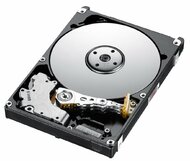 Toshiba DT Series 3TB - DT01ACA300