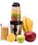 Dyras INOX Smoothie Vitality SBL-240 turmixgép