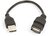 Gembird USB 2.0 A- A-csatlakozó kábel, 0.15m, fekete