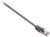 V7 - STP Cat6 patch kábel 5m - V7CAT6STP-05M-GRY-1E