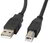 Lanberg cable USB 2.0 AM-BM with ferrite 5m black