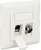 Delock - 86202 - Keystone Wall Outlet 2 Port