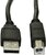 Akyga - USB A (m) / USB B (m) 5m - AK-USB-18