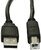 Akyga - USB A (m) / USB B (m) 1,8m - AK-USB-04