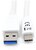 Equip Átalakító Kábel - 128364 (USB-C 3.2 Gen1 to USB-A, apa/apa, fehér, 2m)
