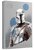 SEAGATE FireCuda Star Wars Mandalorian 2,5" 2TB USB 3.0 külső winchester