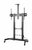 Gembird - Height adjustable TV floor stand with caster wheels 60"-100" Black - TVS-100T-02