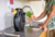 Karcher - HBX 2.10 Compact Tömlődob - 2.645-388.0