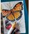 Zebra ClickArt nyomógombos 12 db-os filctoll készlet