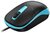 Genius - DX-123 EU Vezetékes kék optikai egér - 31010033405
