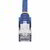 Startech - 2 m kék CAT8 hálózati kábel LSZH - NLBL-2M-CAT8-PATCH