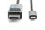 Assmann-DIGITUS USB Type C - DisplayPort adapterkábel - DB-300334-020-S
